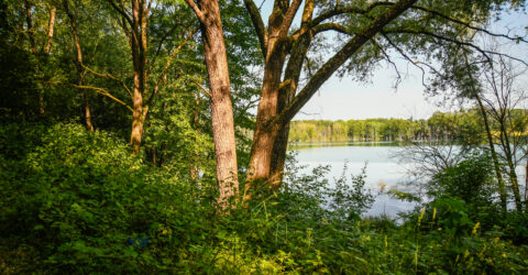 Parc Maugrand - Travaux d'assainissement RCEA