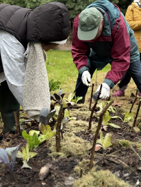 Formation jardinage au naturel