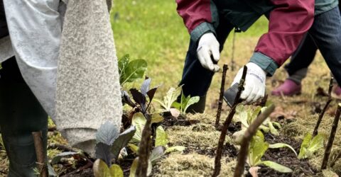 Formation jardinage au naturel